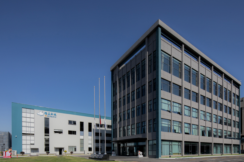 Wolfking Présentation