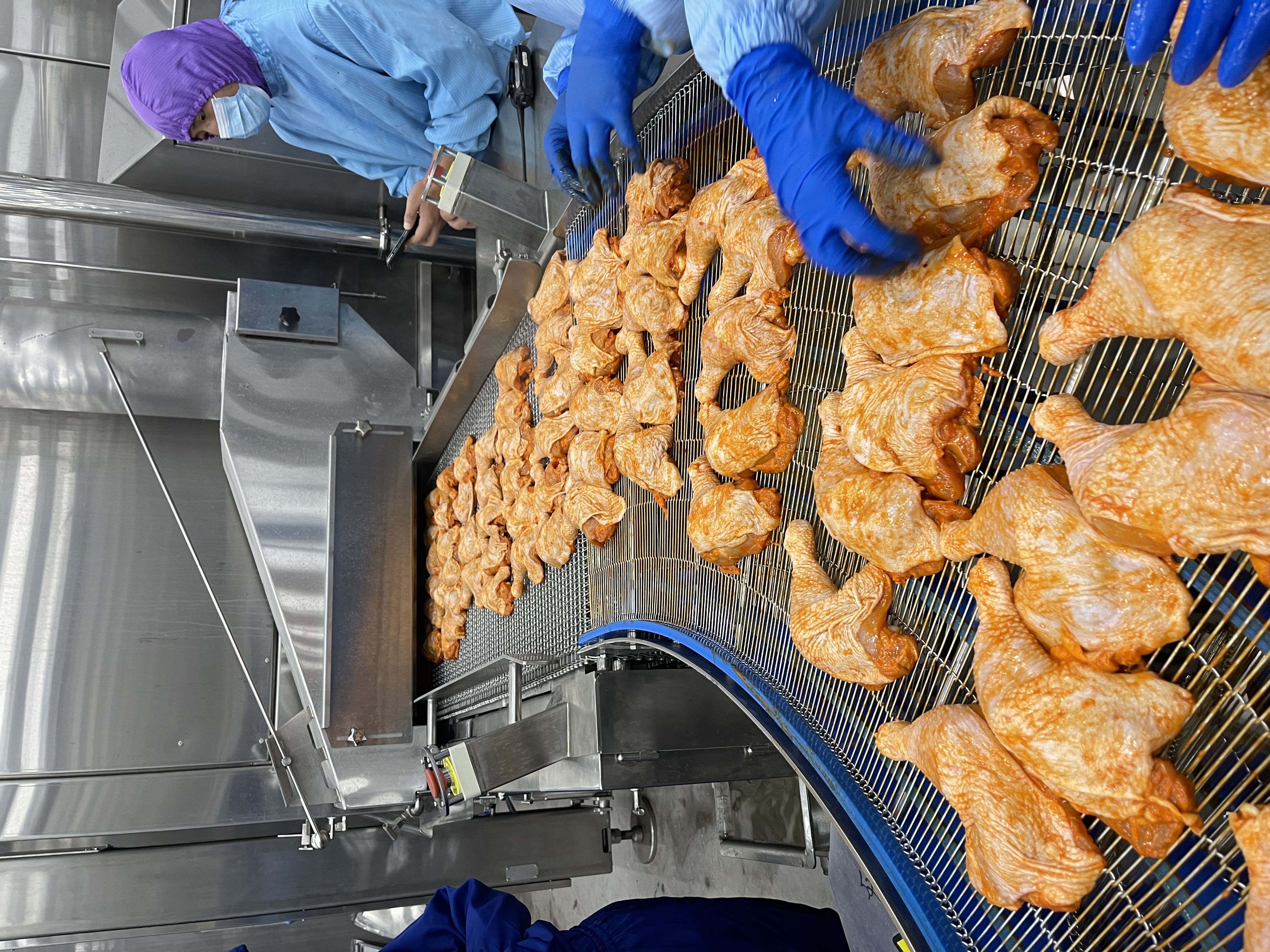 Four &agrave; spirale 2-1 螺旋烤炉 鸡腿进料 2